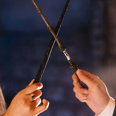Wands of Hogwarts - Limited Potterhead's 2025 Edition